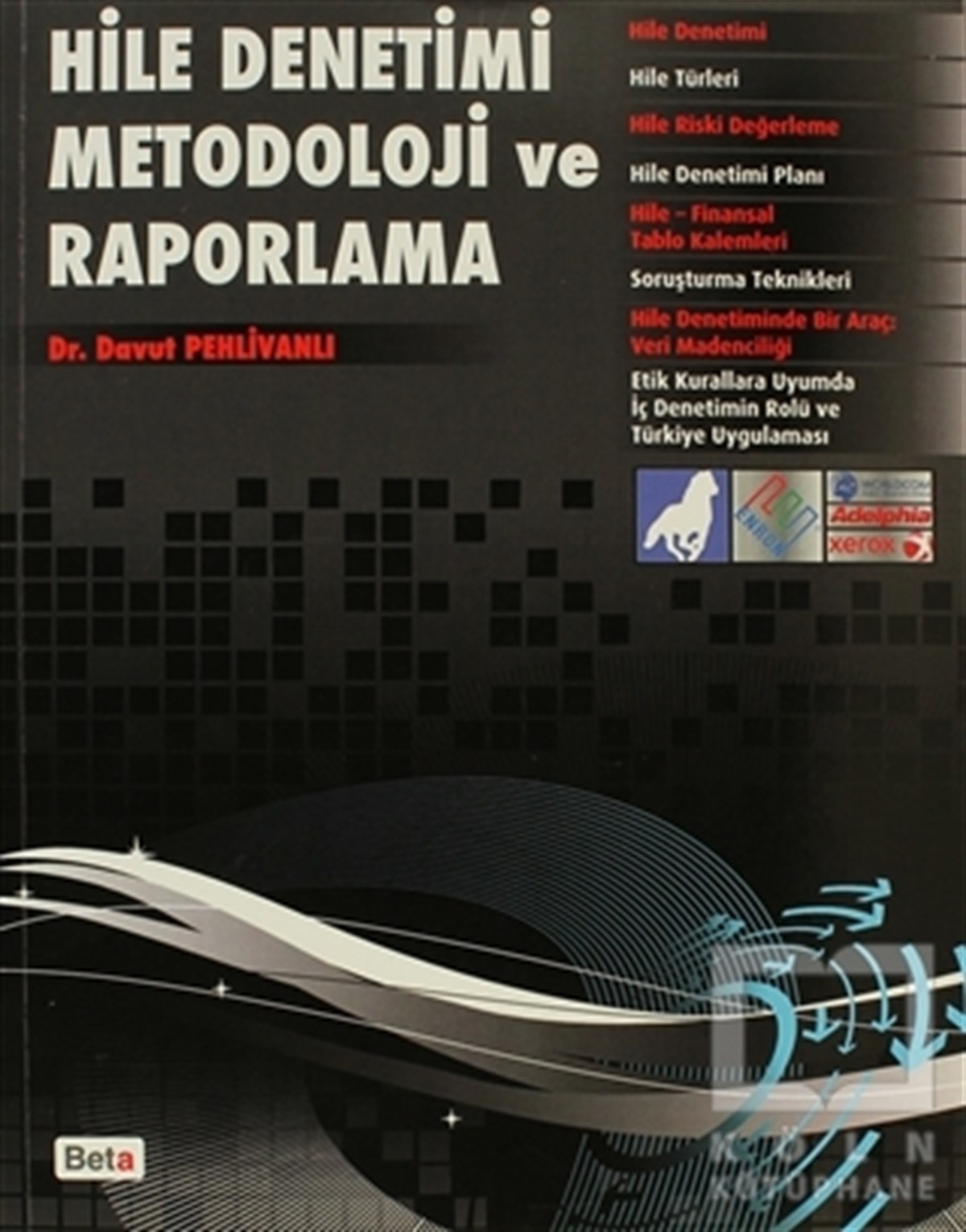 Davut PehlivanlıAkademikHile Denetimi Metodoloji ve Raporlama