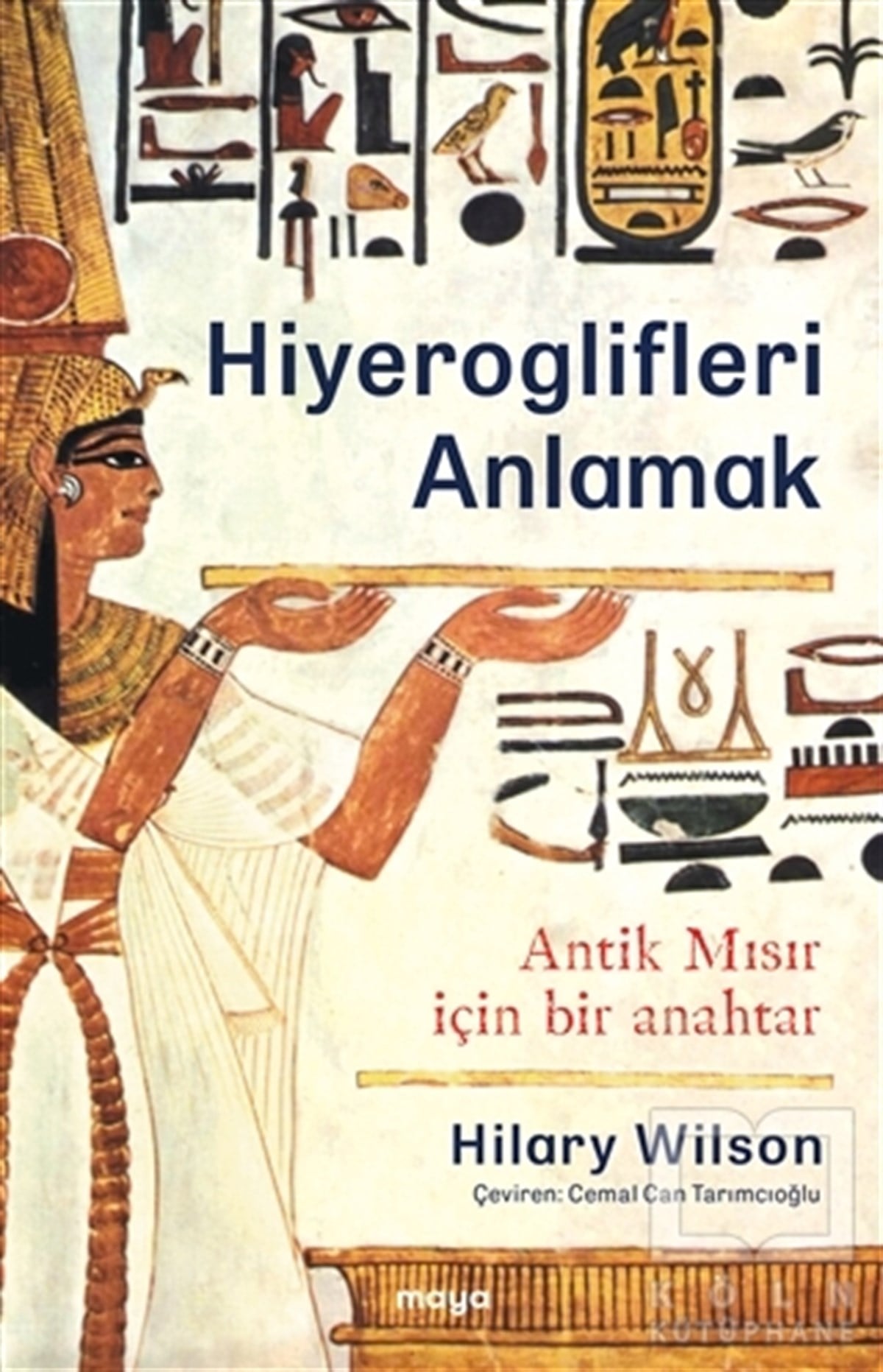Hilary WilsonAraştırma - İncelemeHiyeroglifleri Anlamak