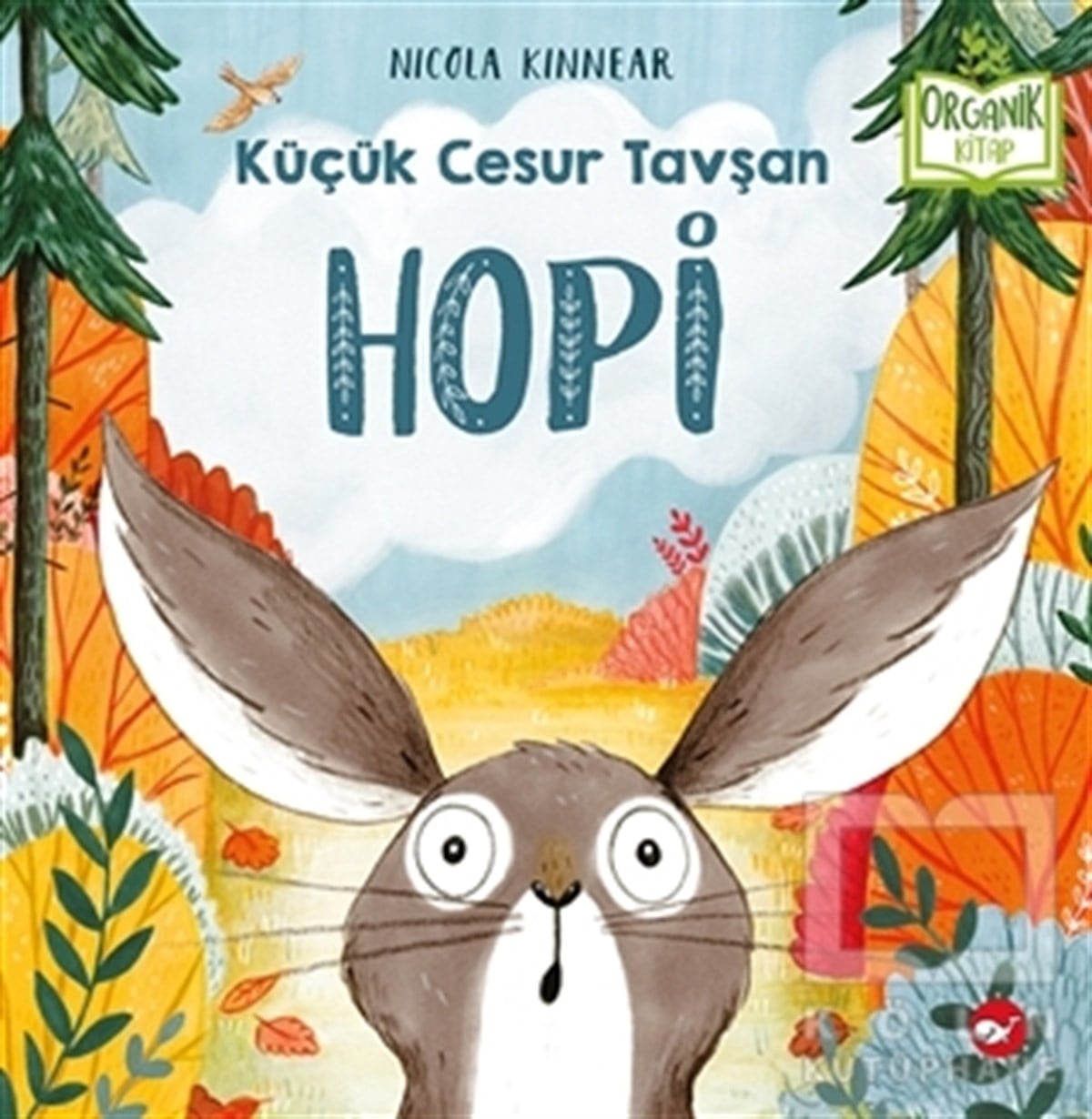 Nicola KinnearHikayelerHopi - Küçük Cesur Tavşan