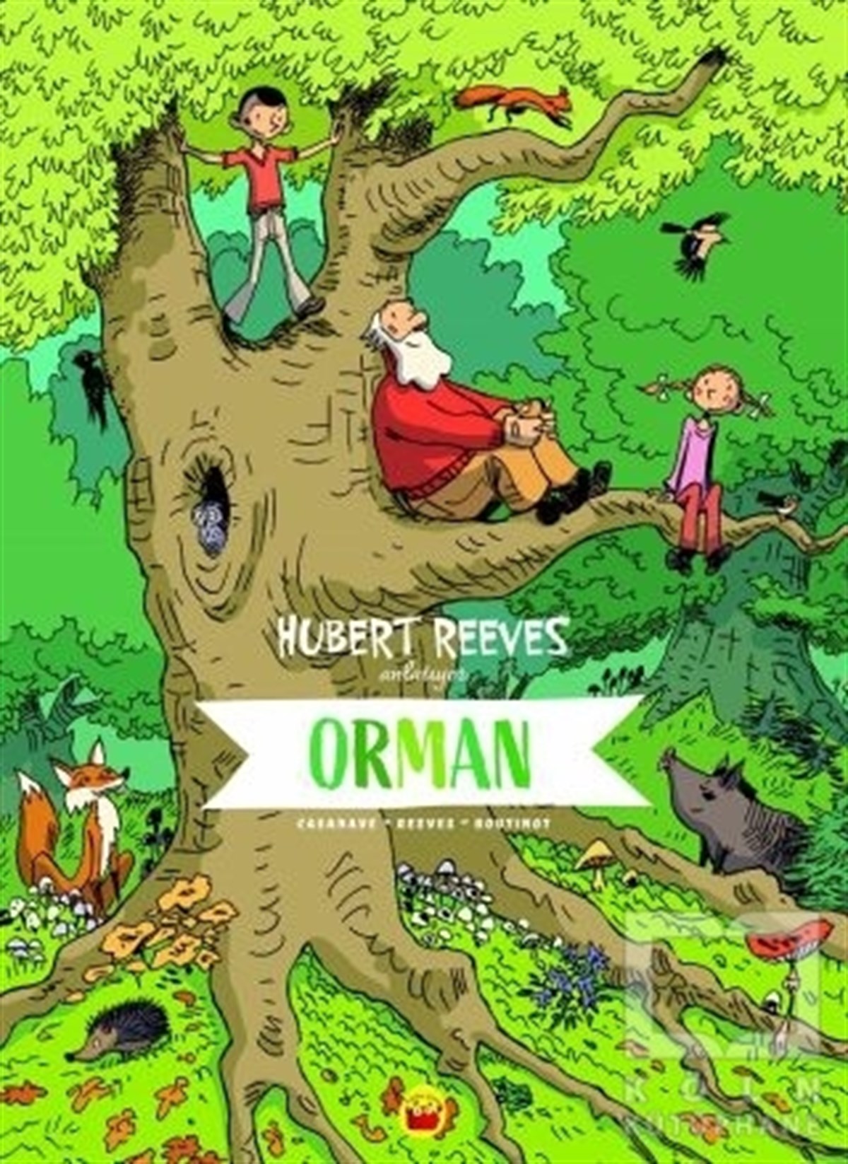 Hubert ReevesBilimsel Çocuk KitaplarıHubert Reeves Anlatıyor - Orman