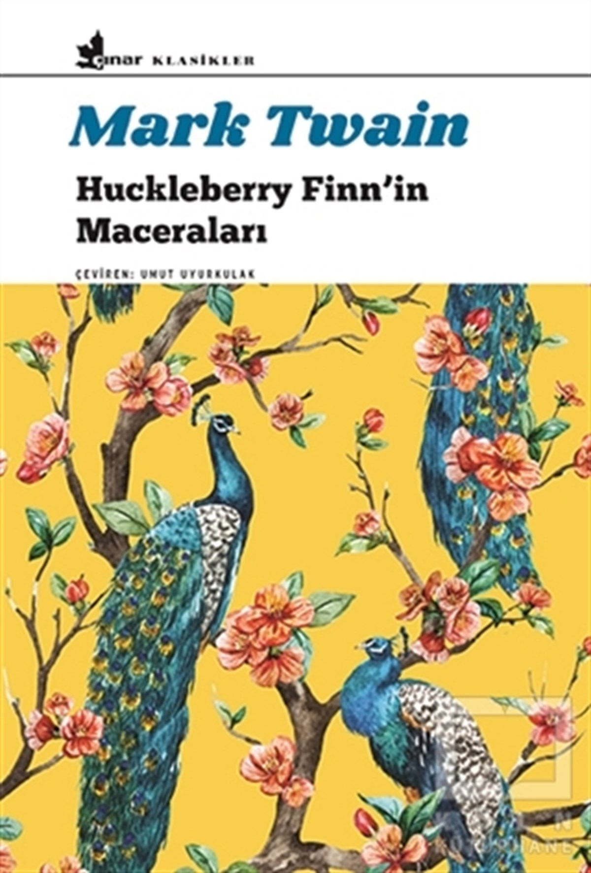 Mark TwainDünya Klasikleri & Klasik KitaplarHuckleberry Finn’in Maceraları