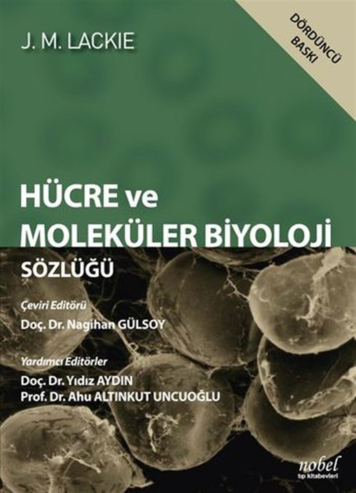 KolektifTıpHücre Ve Moleküler Biyoloji Sözlüğü - Lackie
