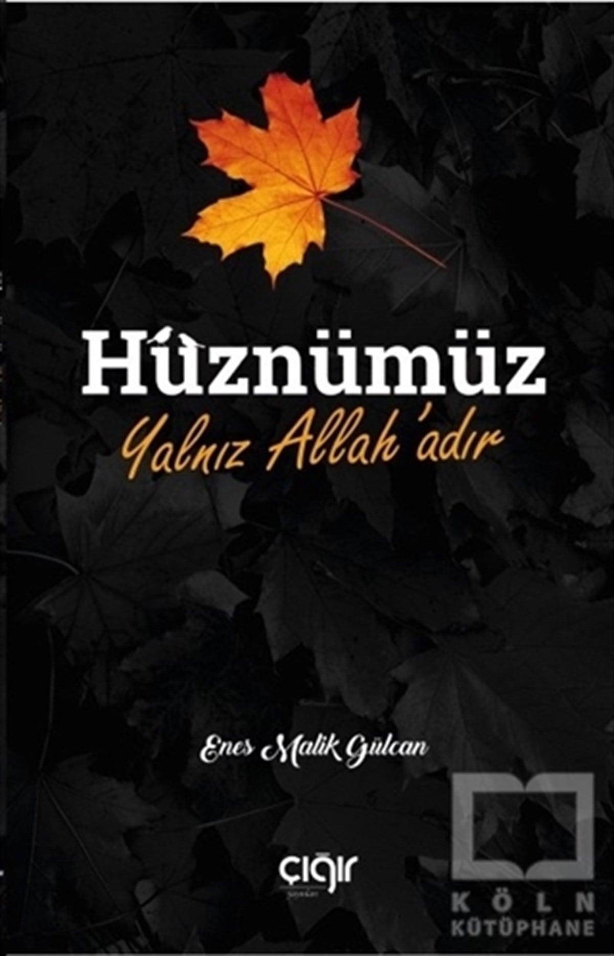 Enes Malik GülcanEdebiyat - RomanHüznümüz Yalnız Allah’adır