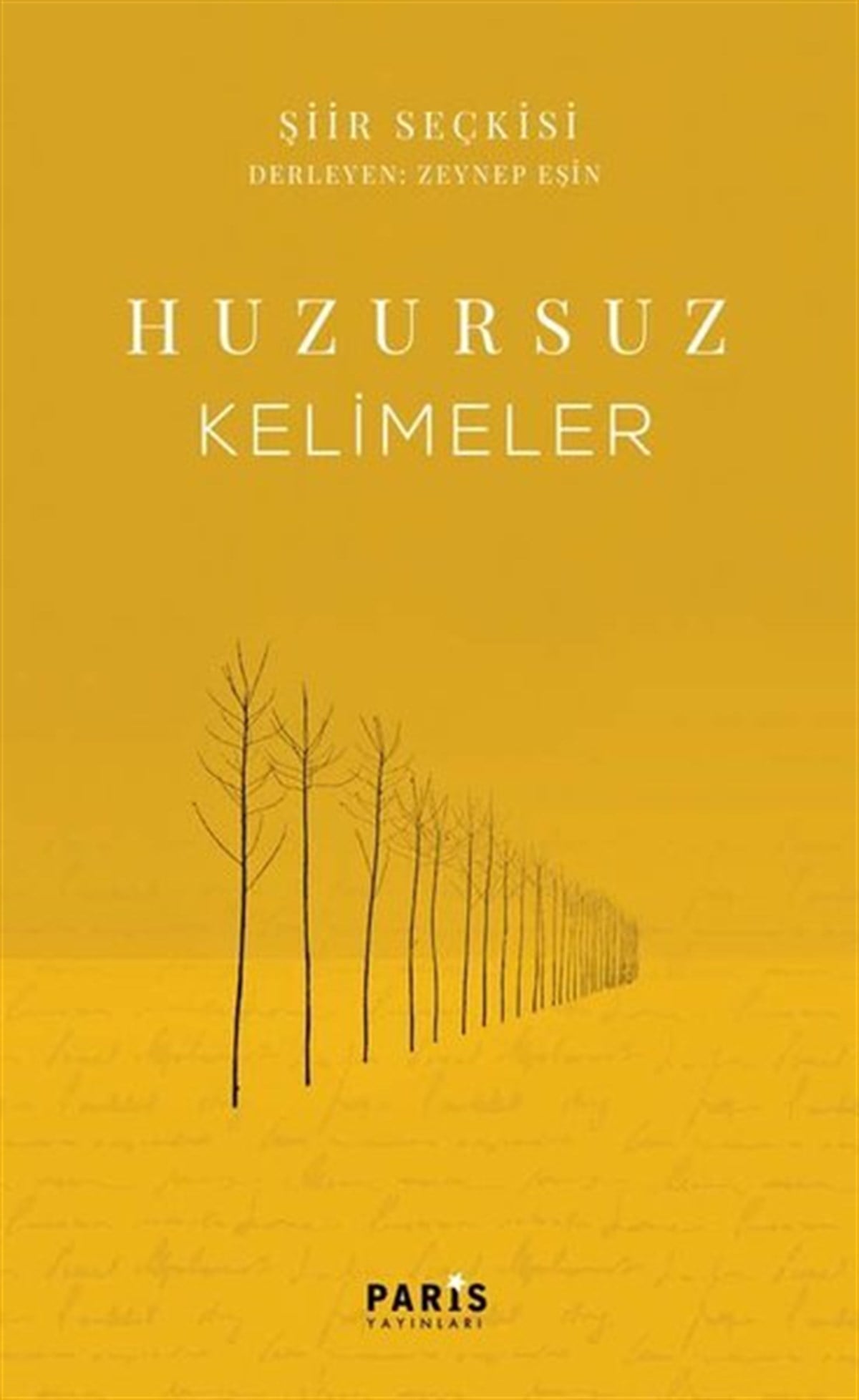 Zeynep EşinTürk ŞiiriHuzursuz Kelimeler