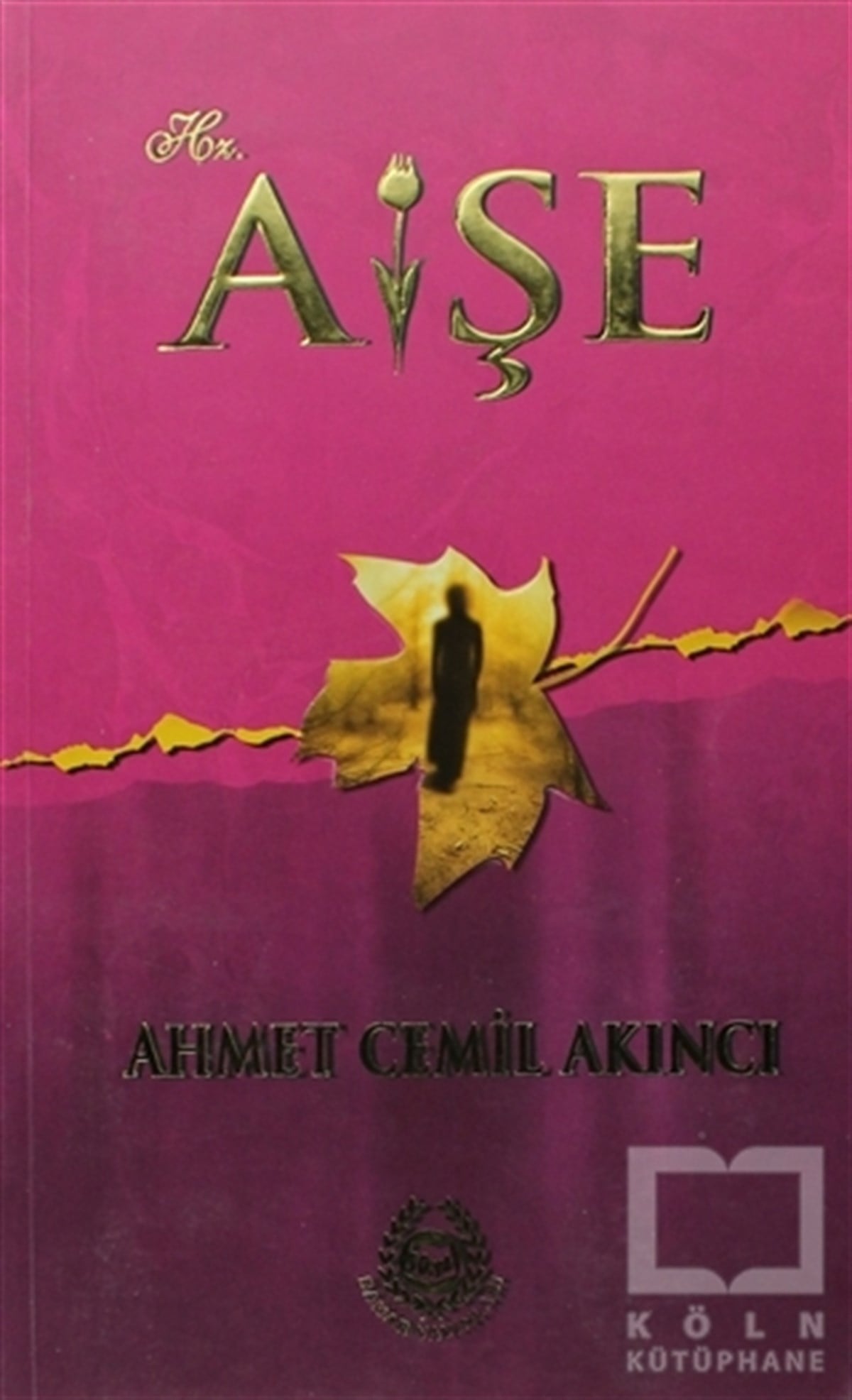 Ahmet Cemil AkıncıEdebiyat - RomanHz. Aişe