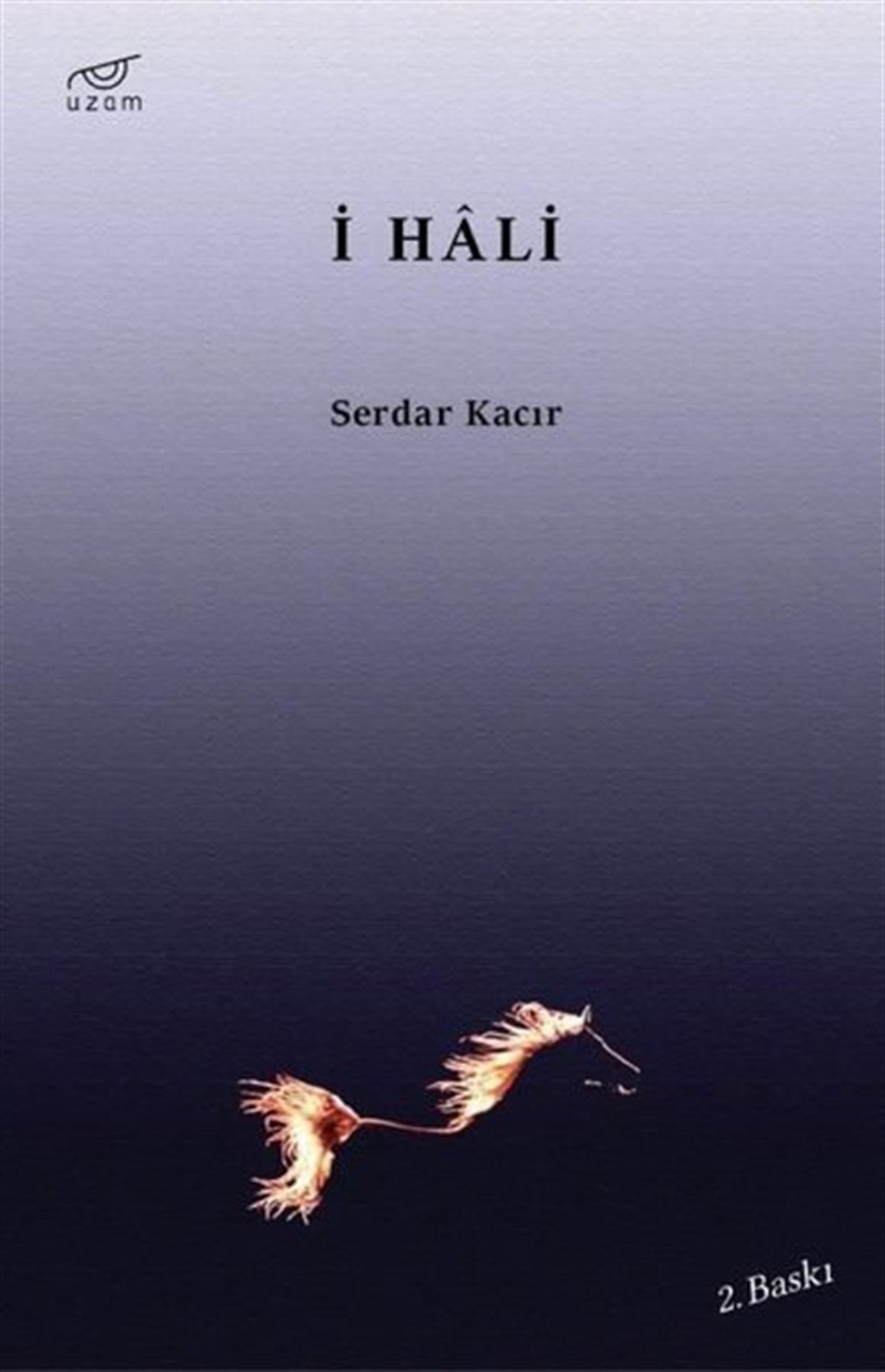 Serdar KacırTürk Şiiriİ Hali