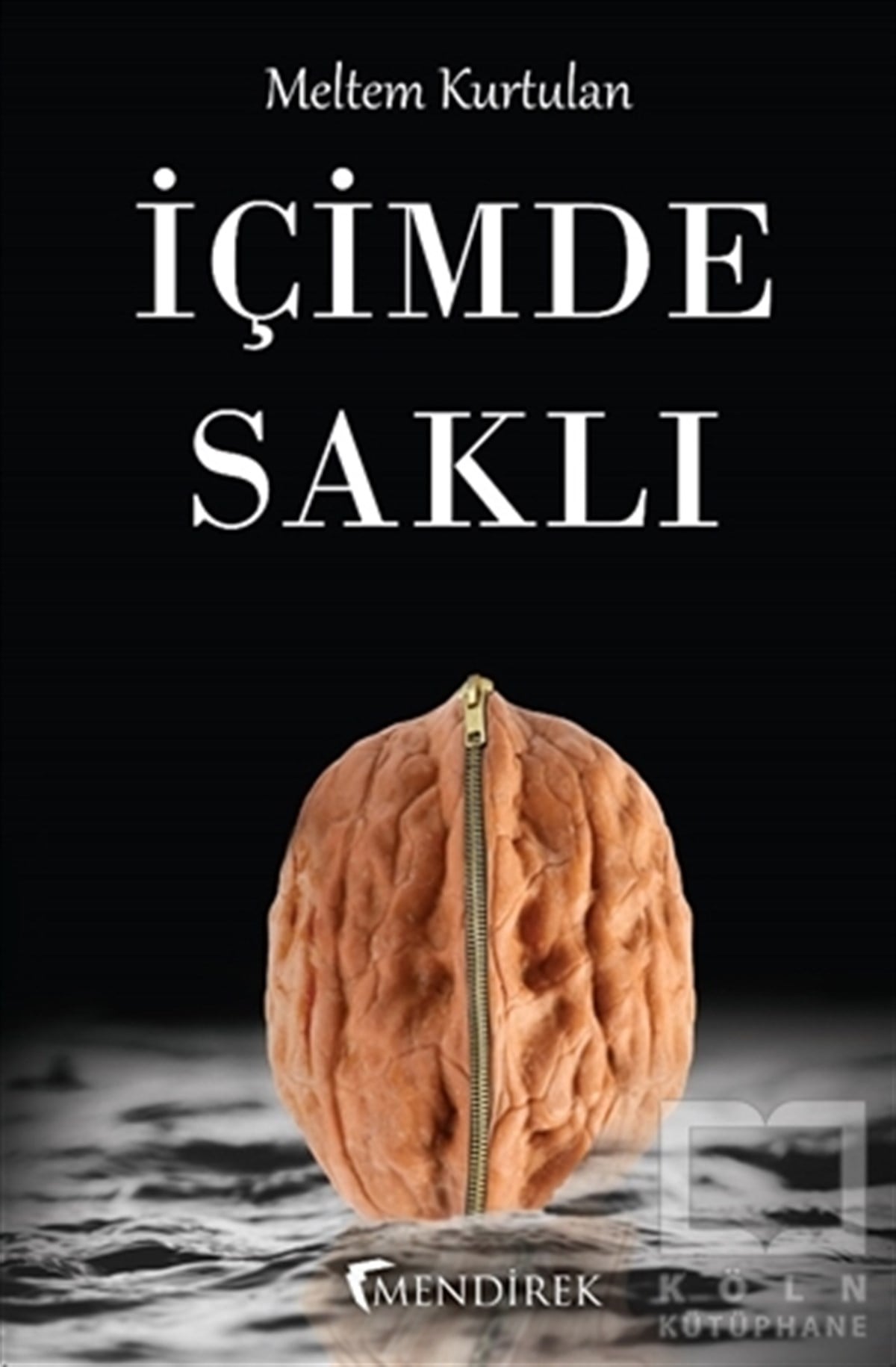 Meltem KurtulanRomanİçimde Saklı
