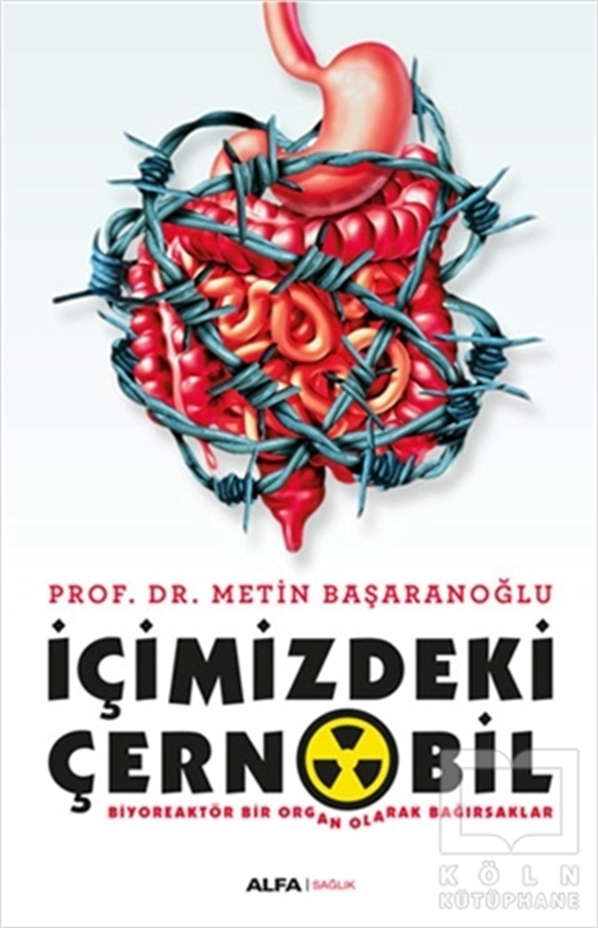 Metin BaşaranoğluDiğerİçimizdeki Çernobil