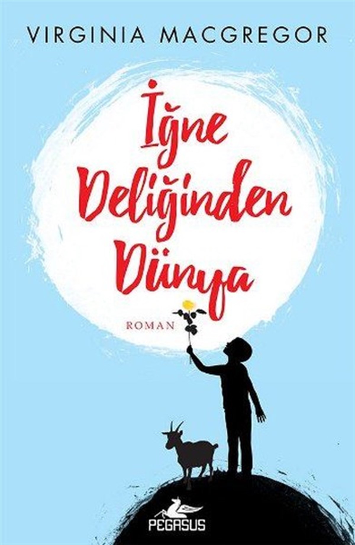 Virginia MacgregorDünya Romanİğne Deliğinden Dünya