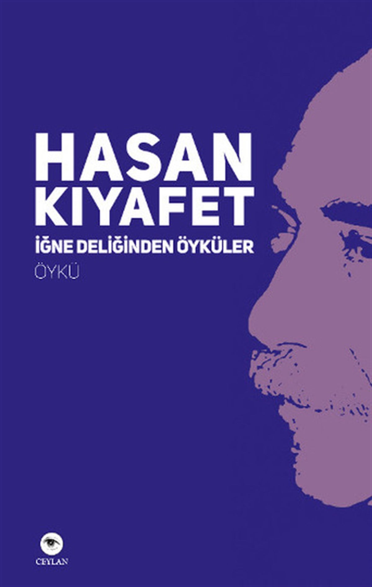 Hasan KıyafetHikaye (Öykü) Kitaplarıİğne Deliğinden Öyküler