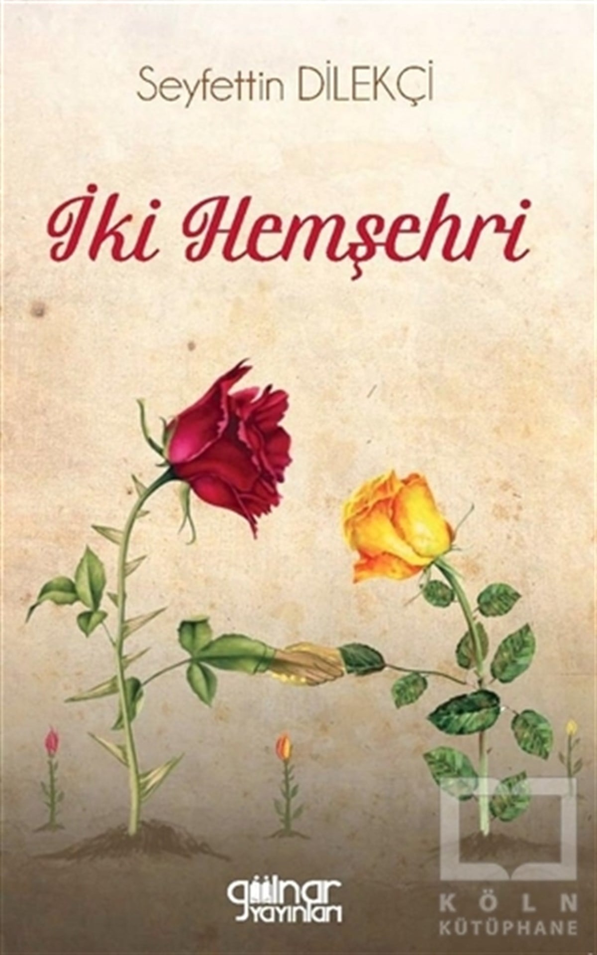 Seyfettin DilekçiTürkçe Romanlarİki Hemşehri