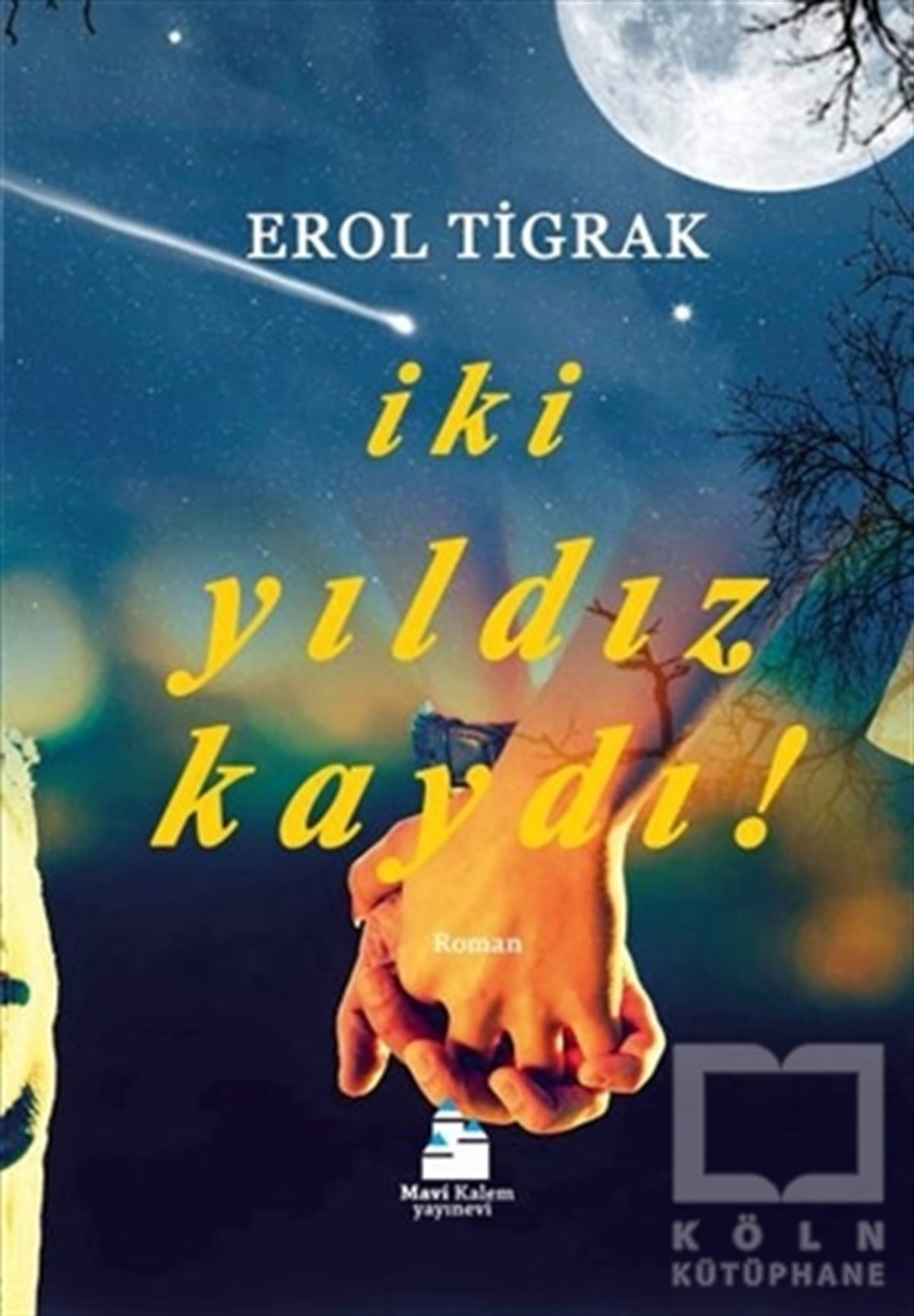 Erol TigrakRomanİki Yıldız Kaydı!