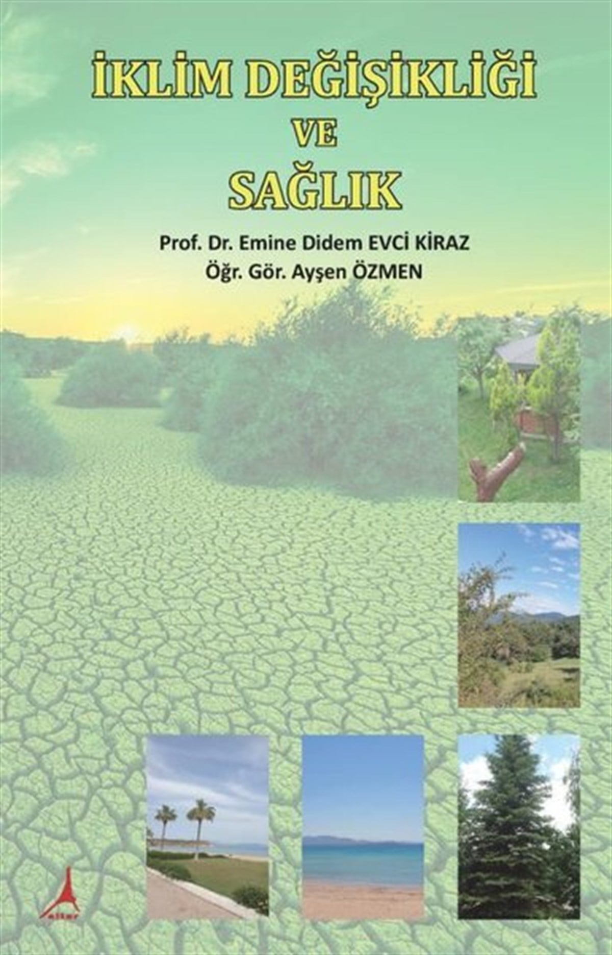 Ayşen ÖzmenEğitimİklim Değişikliği ve Sağlık