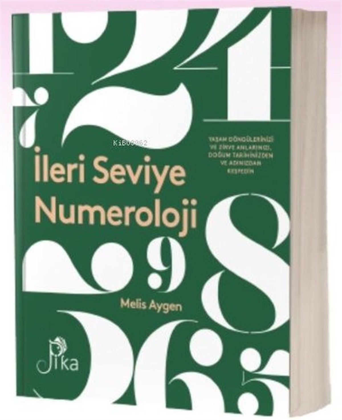 Melis AygenKişisel Gelişim Kitaplarıİleri Seviye Numeroloji