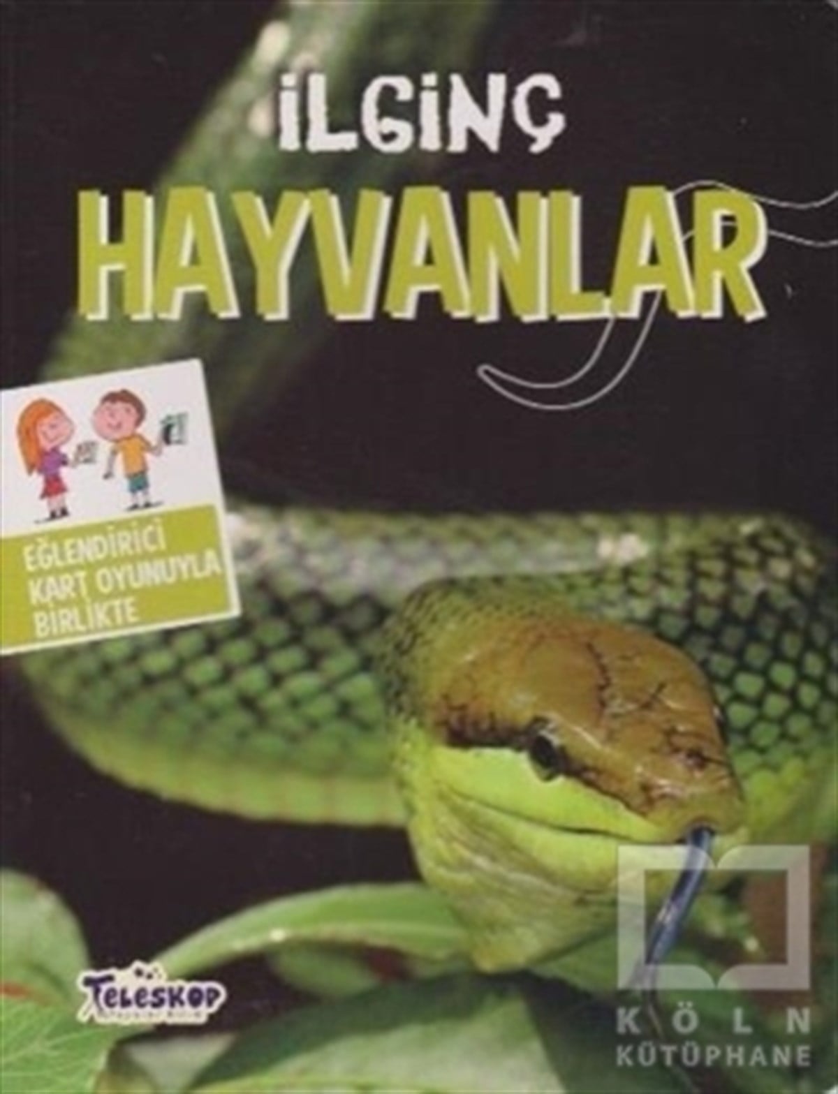 KolektifZeka Gelişimiİlginç Hayvanlar