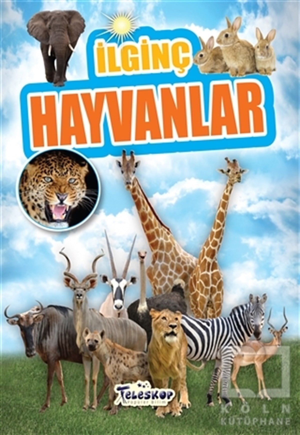 Muhammet Cüneyt ÖzcanBilimsel Çocuk Kitaplarıİlginç Hayvanlar