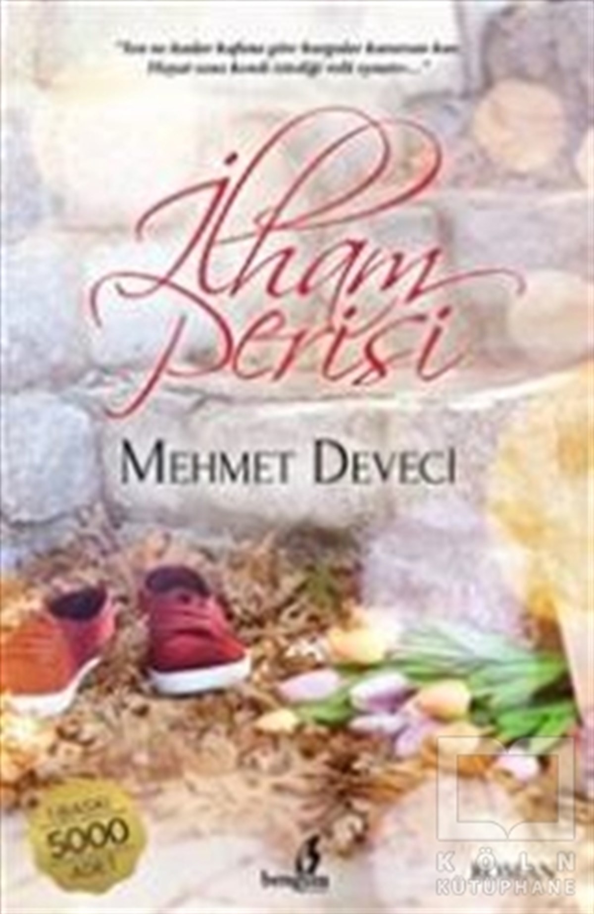 Mehmet DeveciRomanİlham Perisi