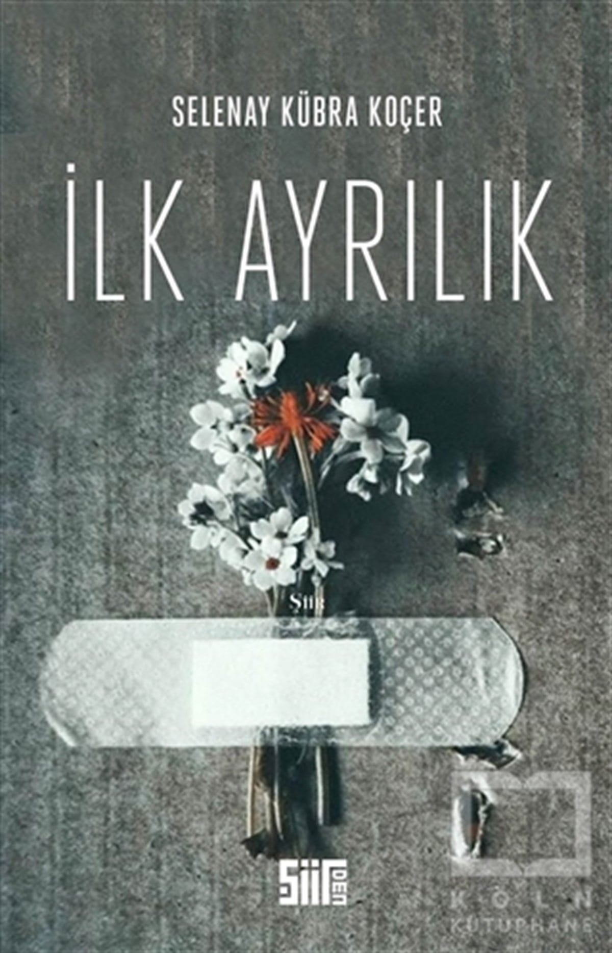 Selenay Kübra KoçerŞiirİlk Ayrılık