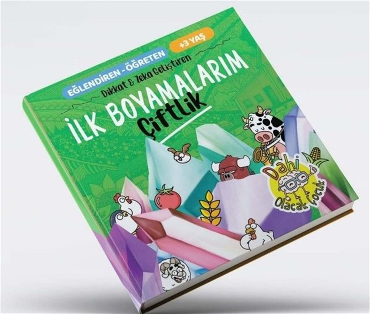 Fethi GürbüzEgitim Etkinlik Kitaplariİlk Boyamalarım - Çiftlik Dikkat ve Zeka Geliştiren +3 Yaş