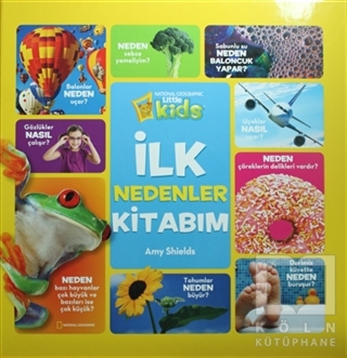 Amy ShieldsBilimsel Kitaplarİlk Nedenler Kitabım