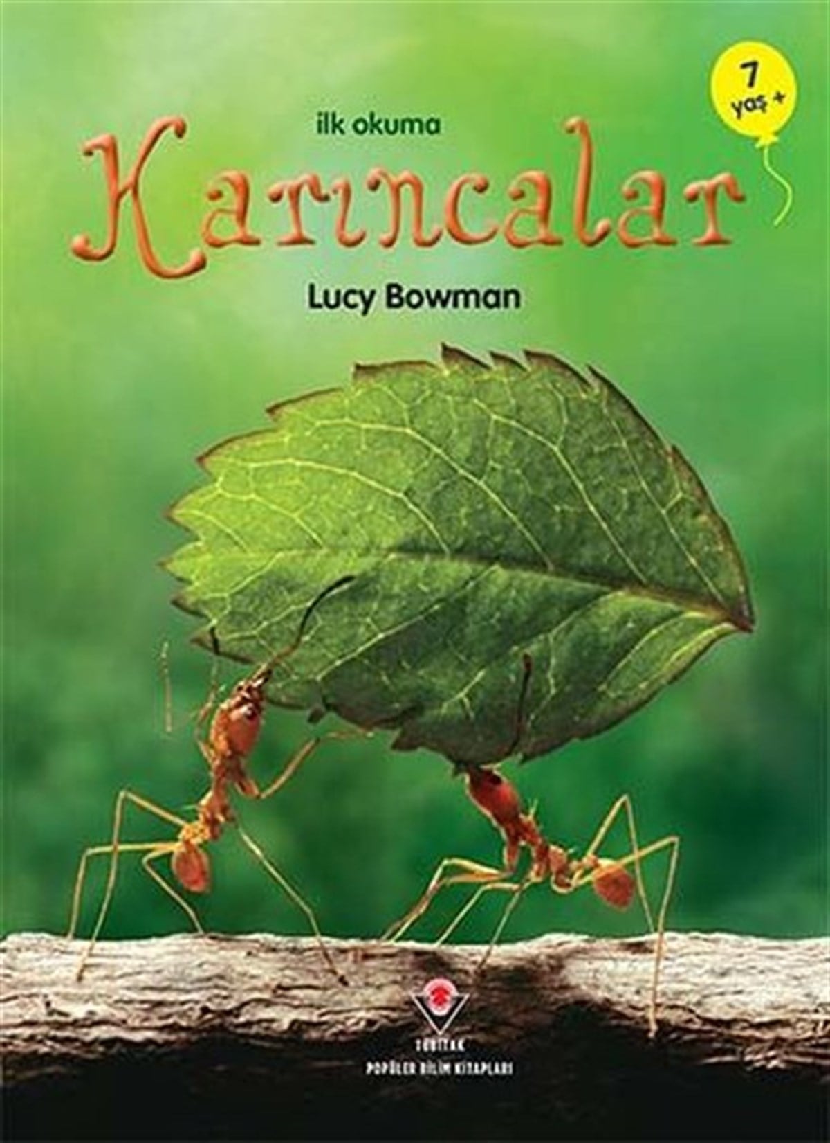 Lucy BowmanOkul Öncesi Masal Kitaplarıİlk Okuma - Karıncalar