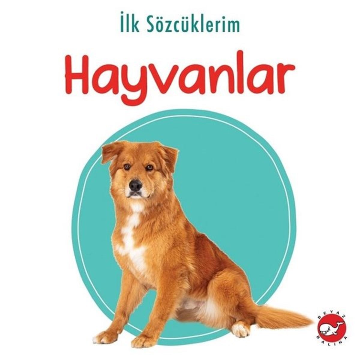 KolektifEgitim Etkinlik Kitaplariİlk Sözcüklerim - Hayvanlar