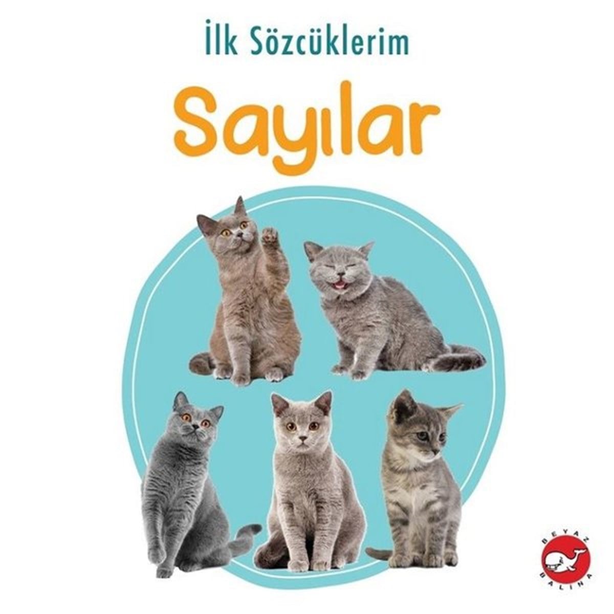 KolektifEgitim Etkinlik Kitaplariİlk Sözcüklerim - Sayılar