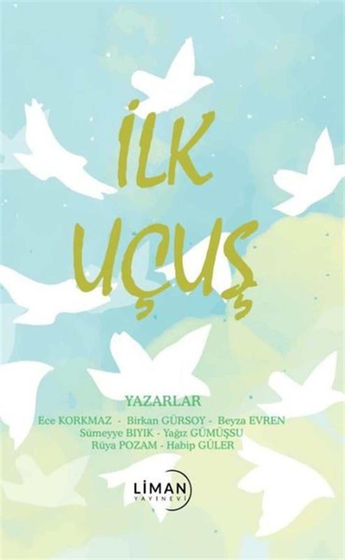 KolektifTürkiye Romanİlk Uçuş