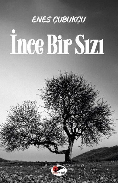 Enes ÇubukçuDeneme Kitaplarıİnce Bir Sızı