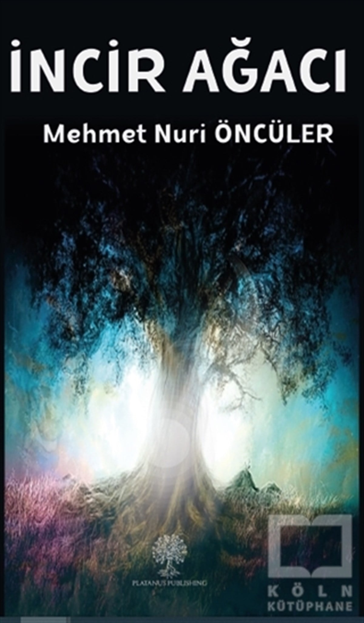 Mehmet Nuri ÖncülerTürkçe Romanlarİncir Ağacı