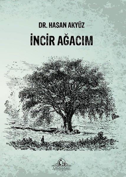Hasan AkyüzTürkiye Romanİncir Ağacım