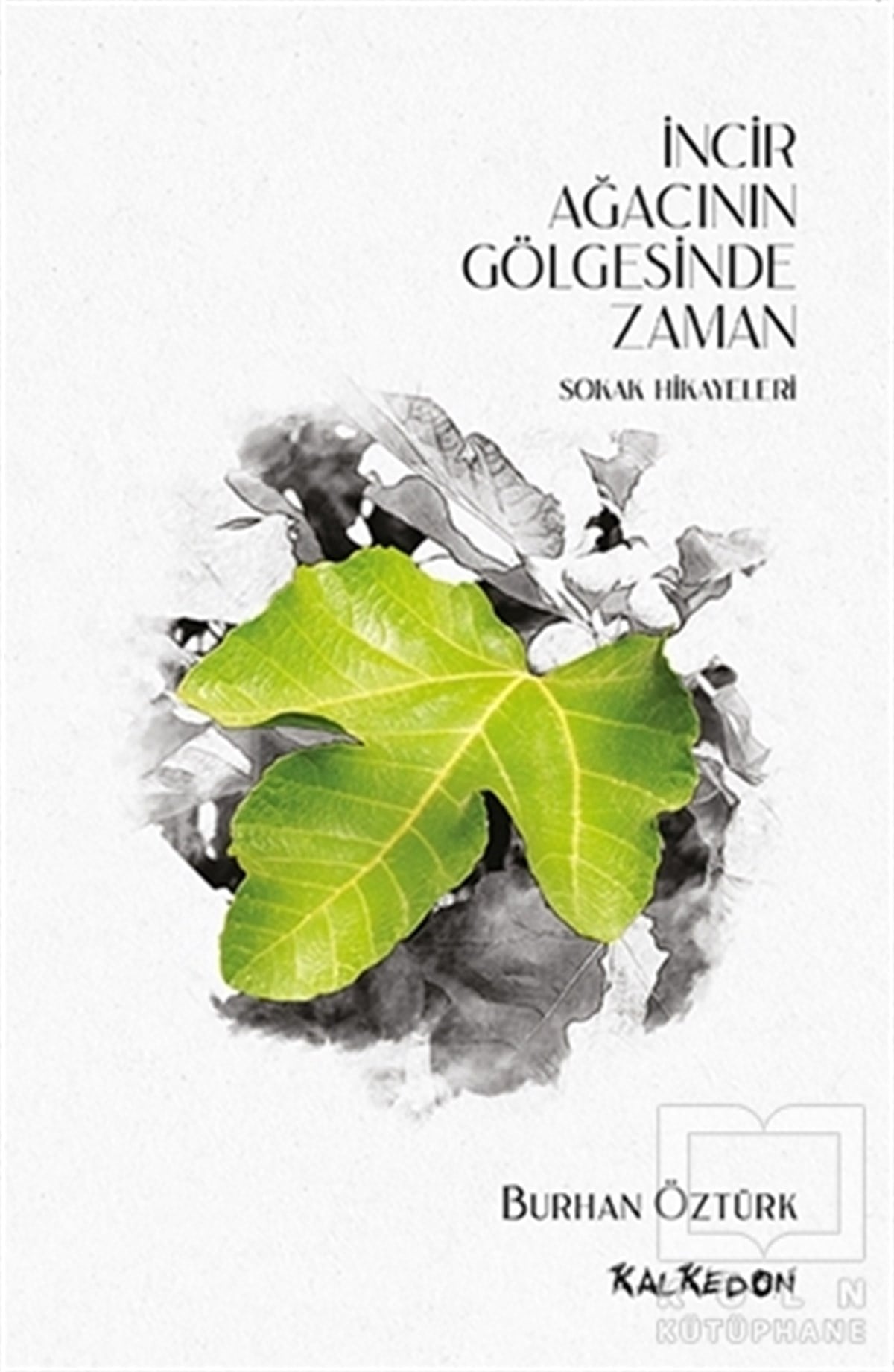 Burhan ÖztürkHikaye (Öykü) Kitaplarıİncir Ağacının Gölgesinde Zaman