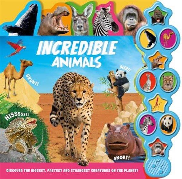 KolektifPreschoolIncredible Animals
