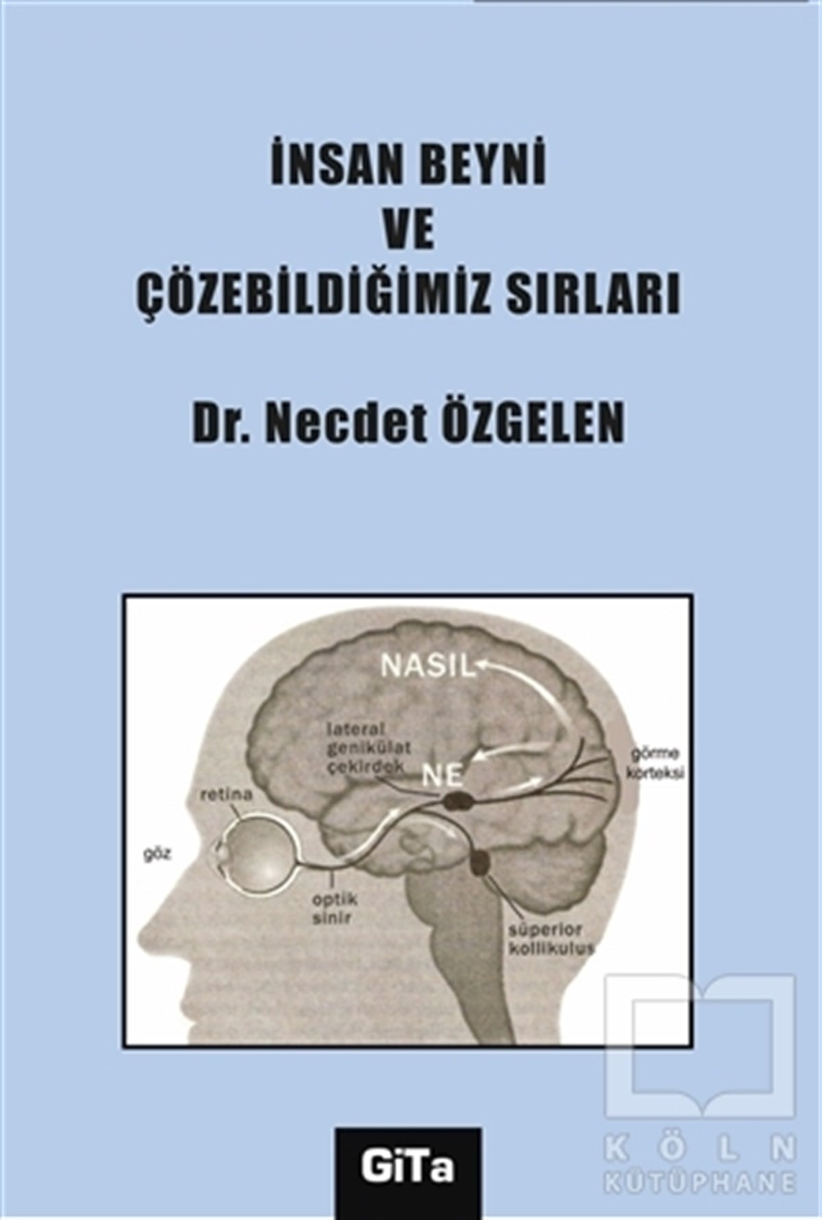 Necdet ÖzgelenDiğerİnsan Beyni ve Çözebildiğimiz Sırları