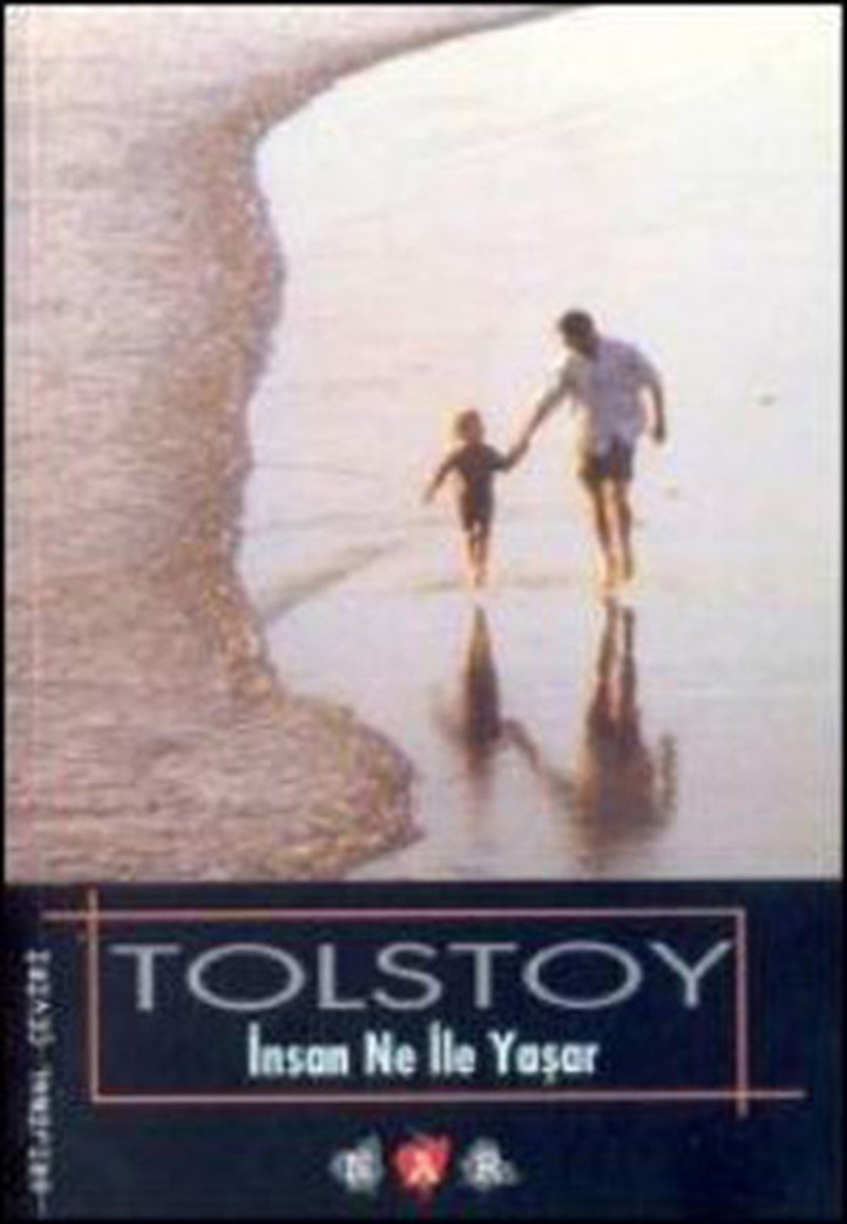 Lev Nikolayeviç TolstoyHikaye (Öykü) Kitaplarıİnsan Ne İle Yaşar