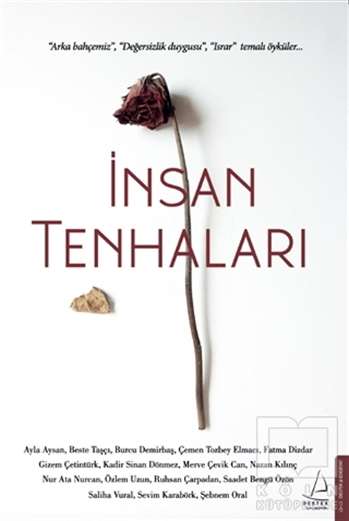 KolektifTürkçe Romanlarİnsan Tenhaları
