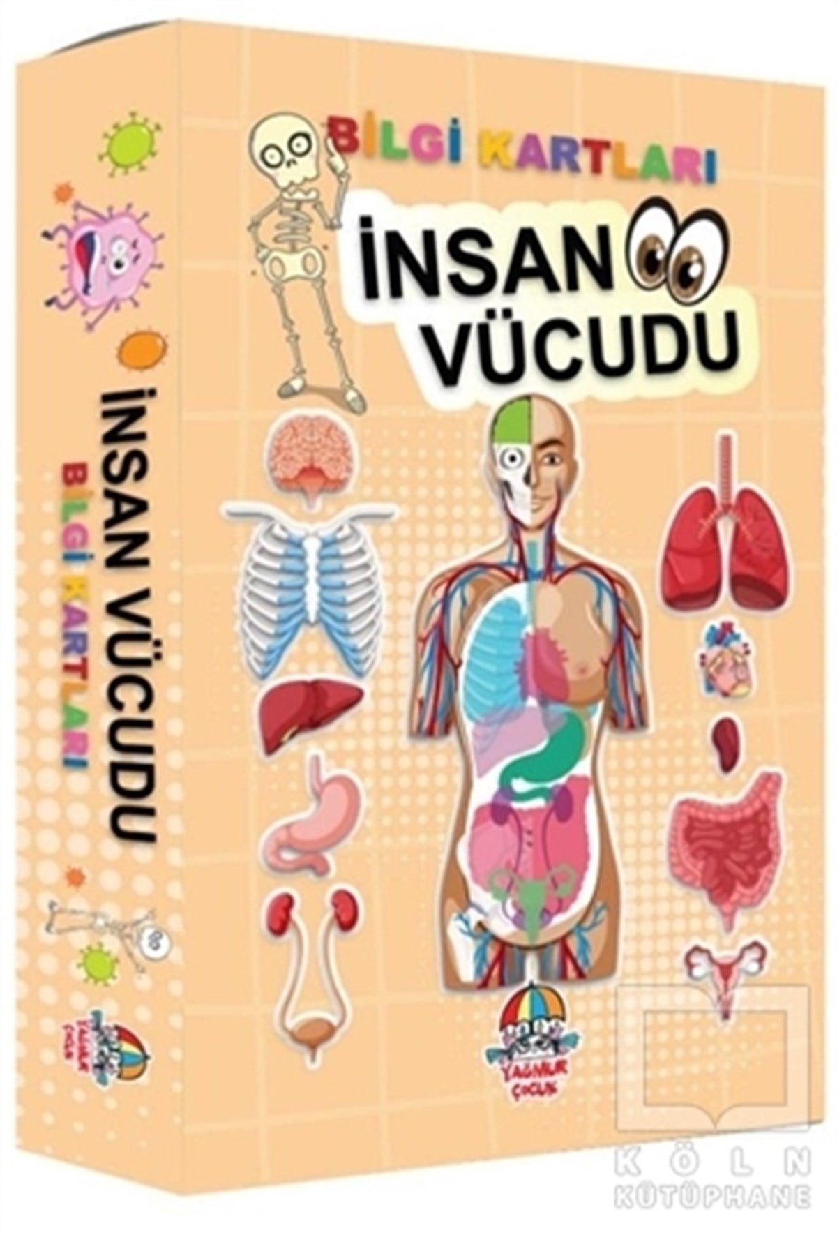 Ferhat ÇınarDiğerİnsan Vücudu Bilgi Kartları