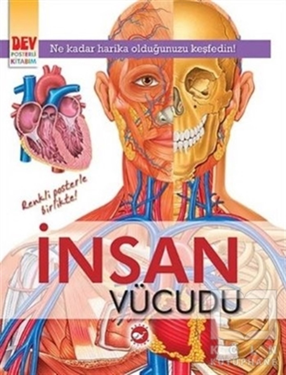 KolektifBilimsel Kitaplarİnsan Vücudu