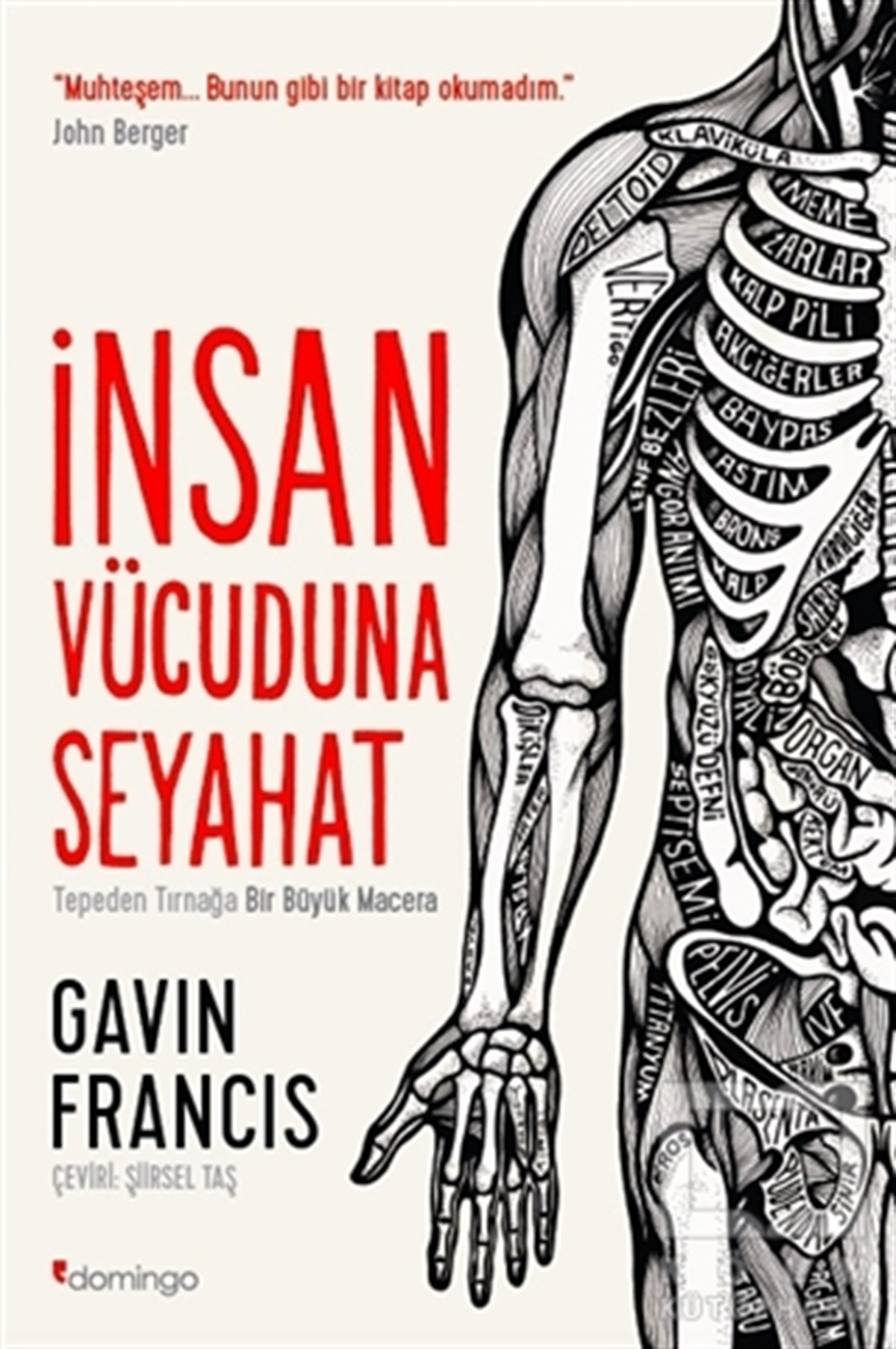Gavin FrancisPopüler Bilimİnsan Vücuduna Seyahat