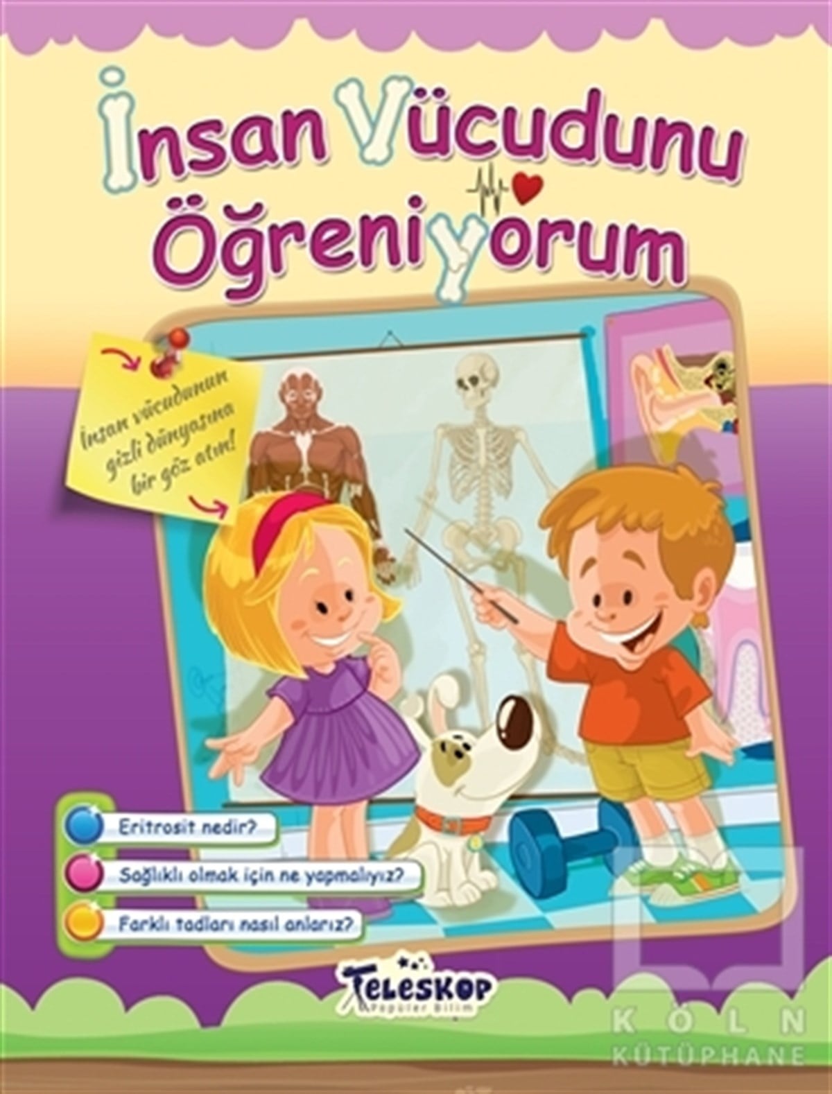 KolektifEtkinlik Kitaplarıİnsan Vücudunu Öğreniyorum