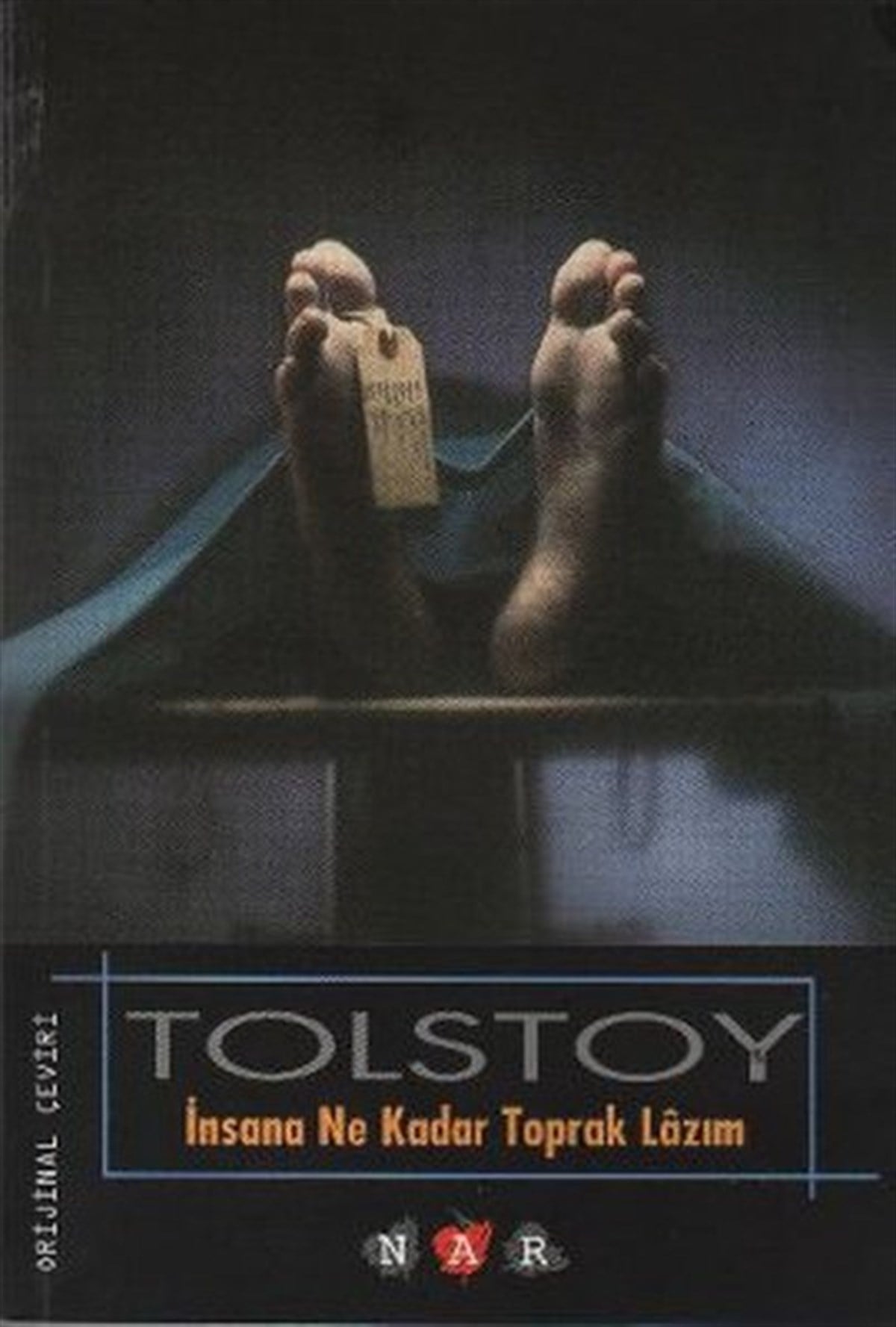 Lev Nikolayeviç TolstoyDünya Klasikleriİnsana Ne Kadar Toprak Lazım
