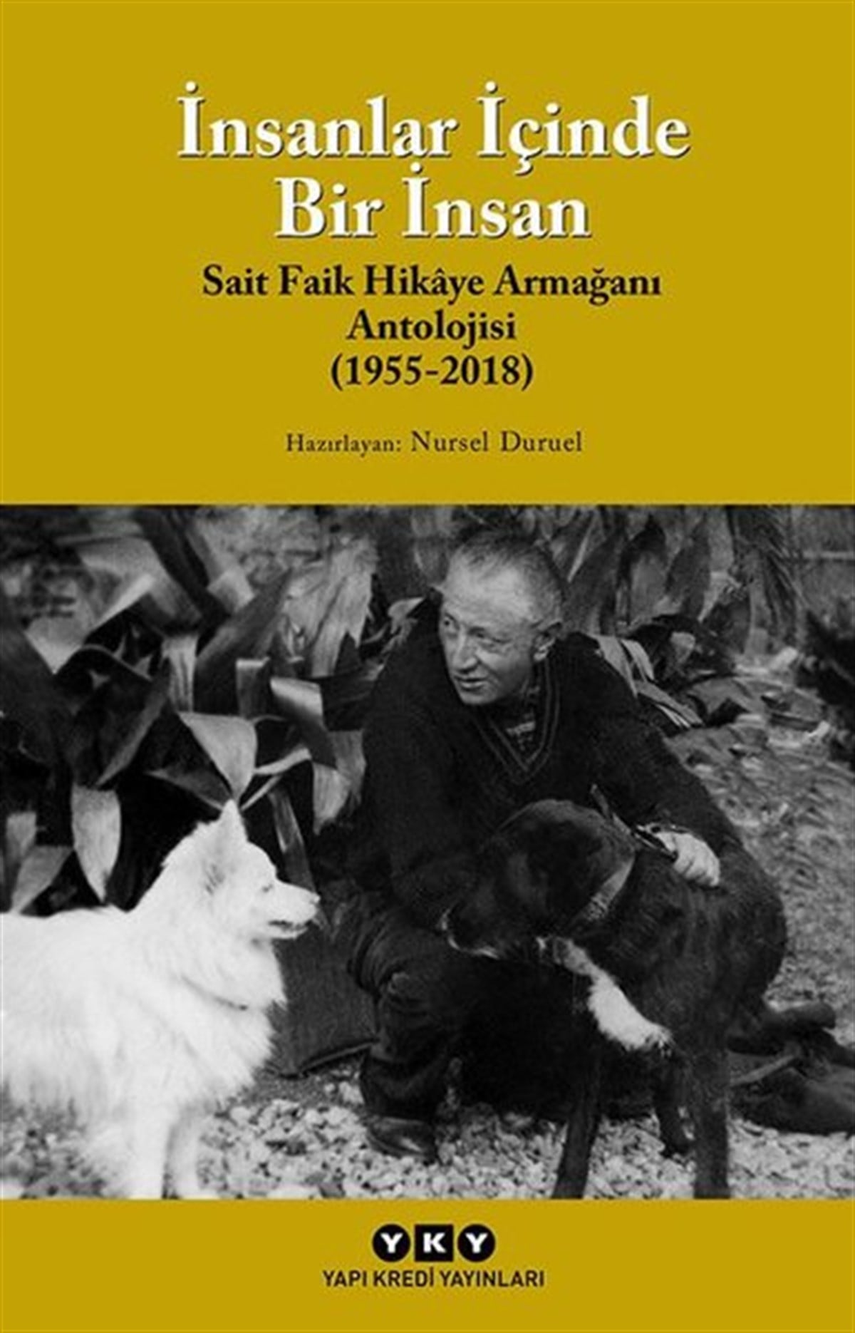 Nusret DuruelTürkiye Romanİnsanlar İçinde Bir İnsan (Sait Faik Hikaye Armağan Antolojisi (1955-2018)