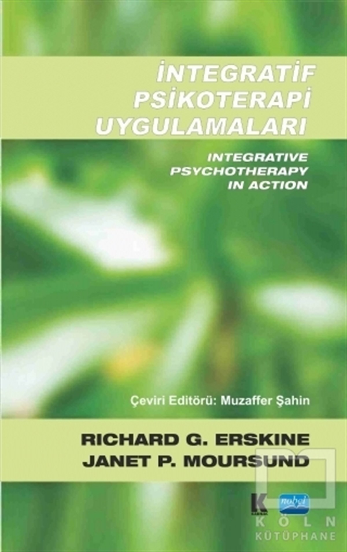 Janet P. MoursundAkademikİntegratif Psikoterapi Uygulamaları
