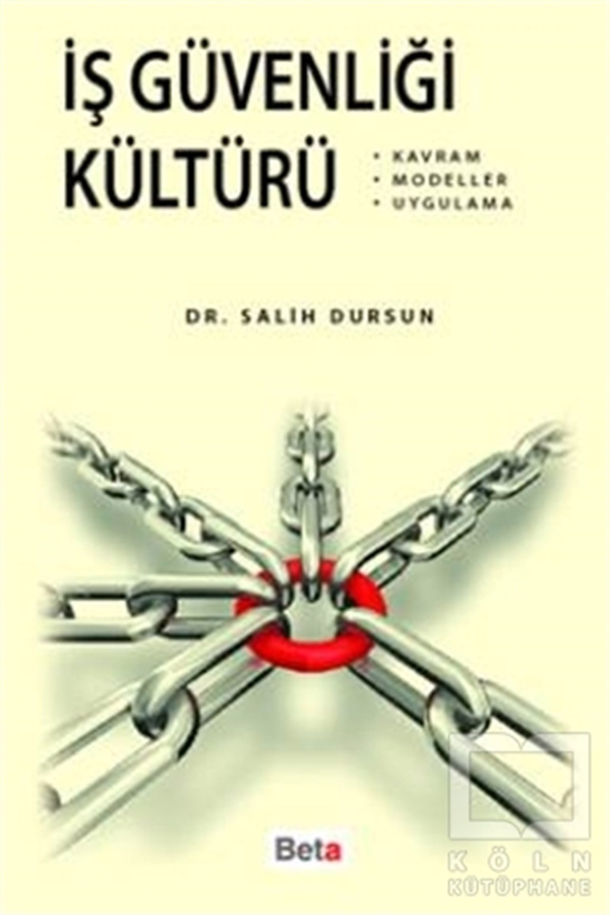 Salih DursunAkademikİş Güvenliği Kültürü