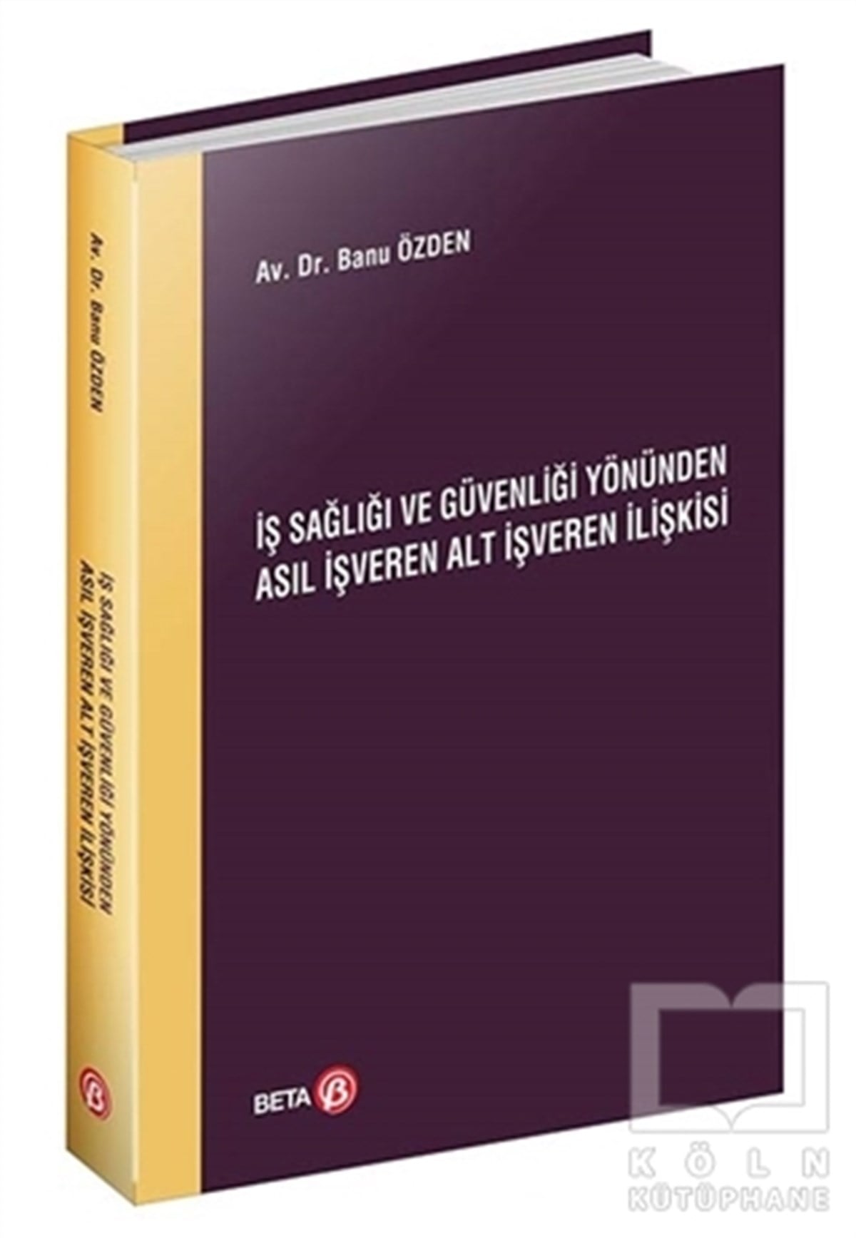 Banu ÖzdenHukuk Üzerine Kitaplarİş Sağlığı ve Güvenliği Yönünden Asıl İşveren Alt İşveren İlişkisi