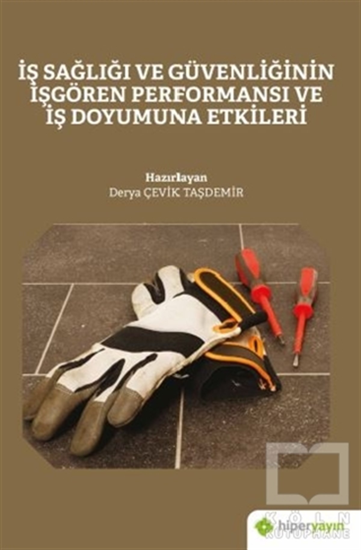 Derya Çevik Taşdemirİş Dünyası Kitaplarıİş Sağlığı ve Güvenliğinin İşgören Performansı ve İş Doyumuna Etkileri