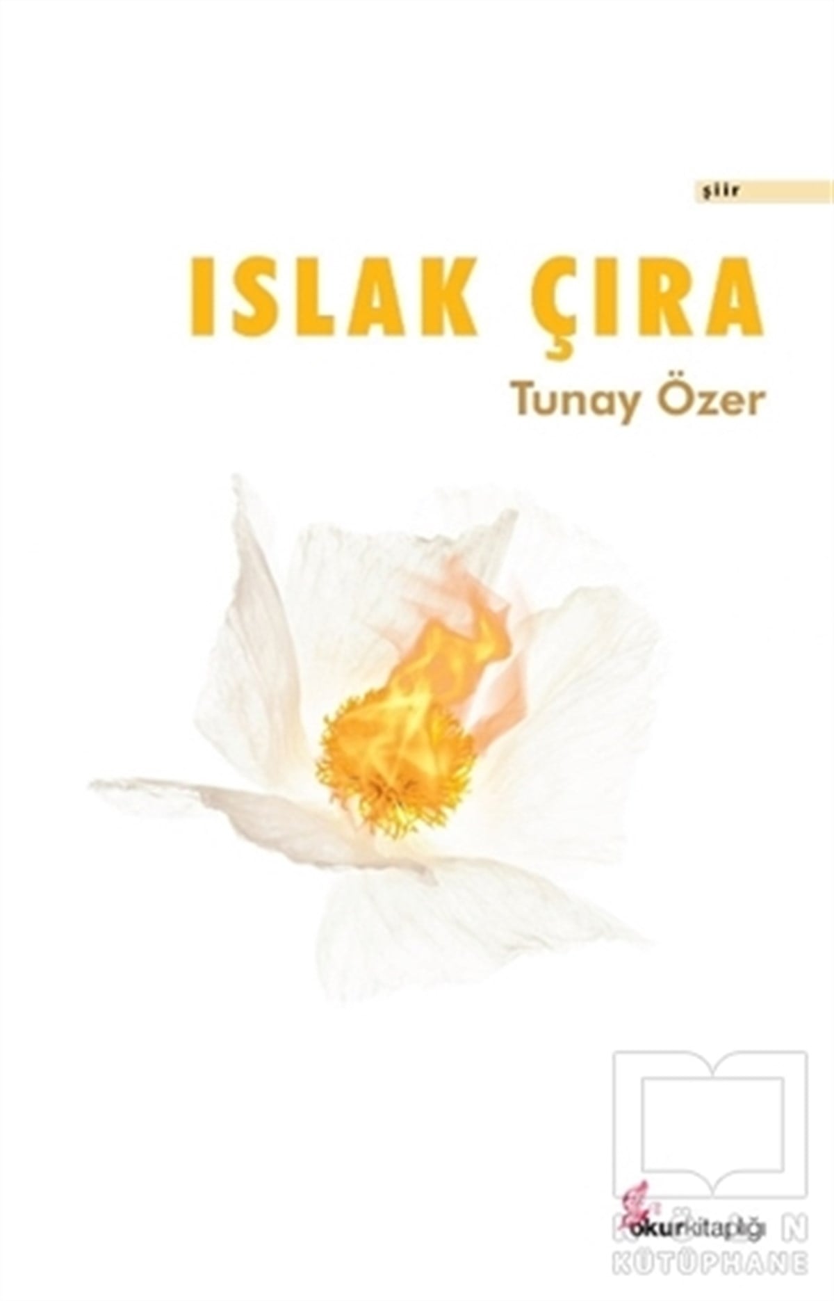 Tunay ÖzerŞiirIslak Çıra