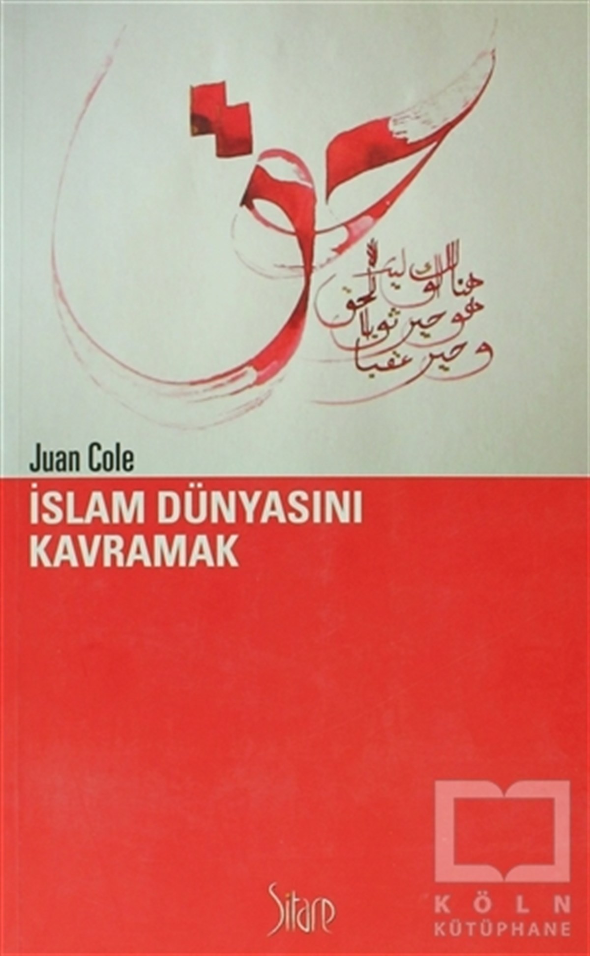 Juan ColeAraştırma-İncelemeİslam Dünyasını Kavramak