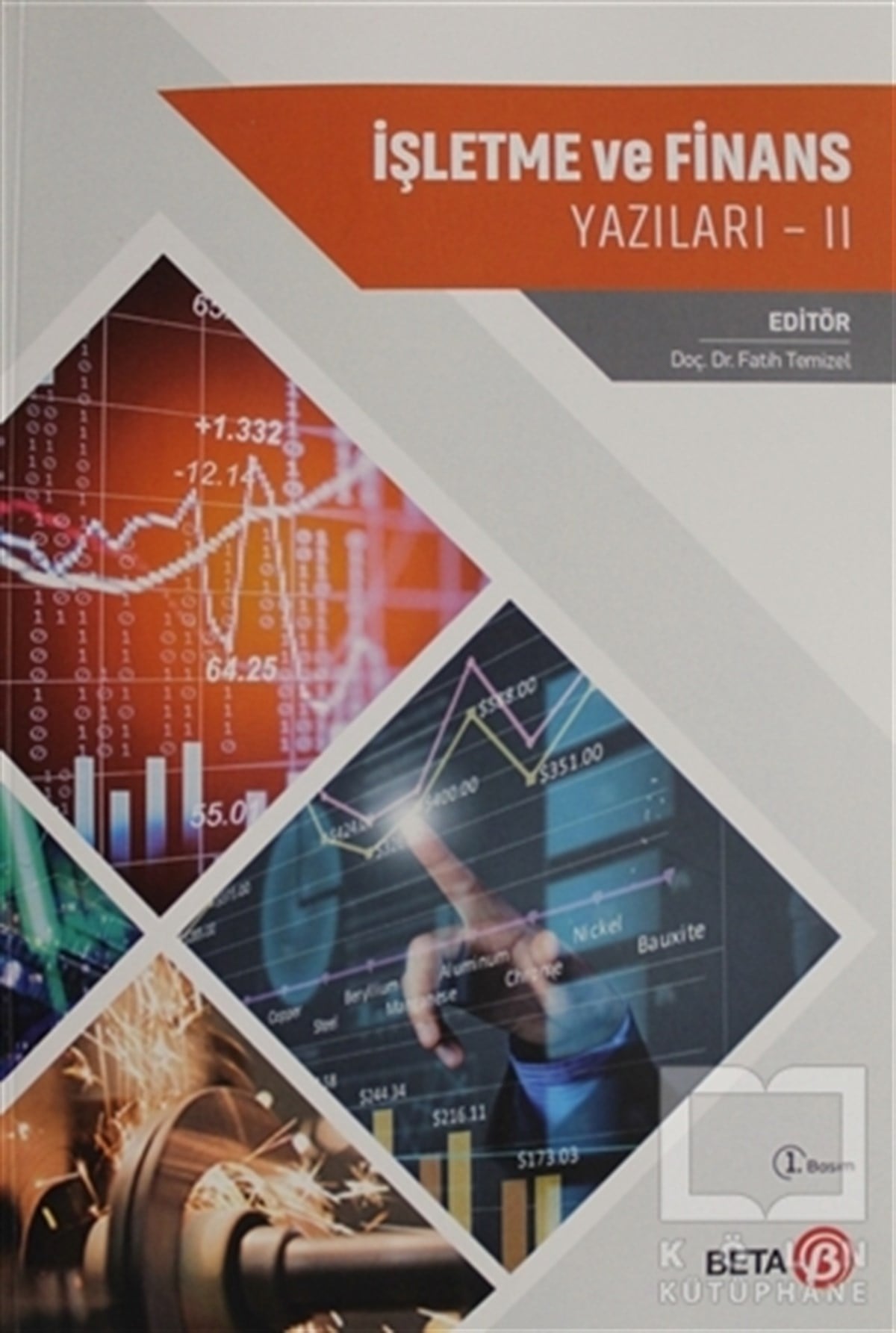 Fatih TemizelDiğerİşletme ve Finans Yazıları 2