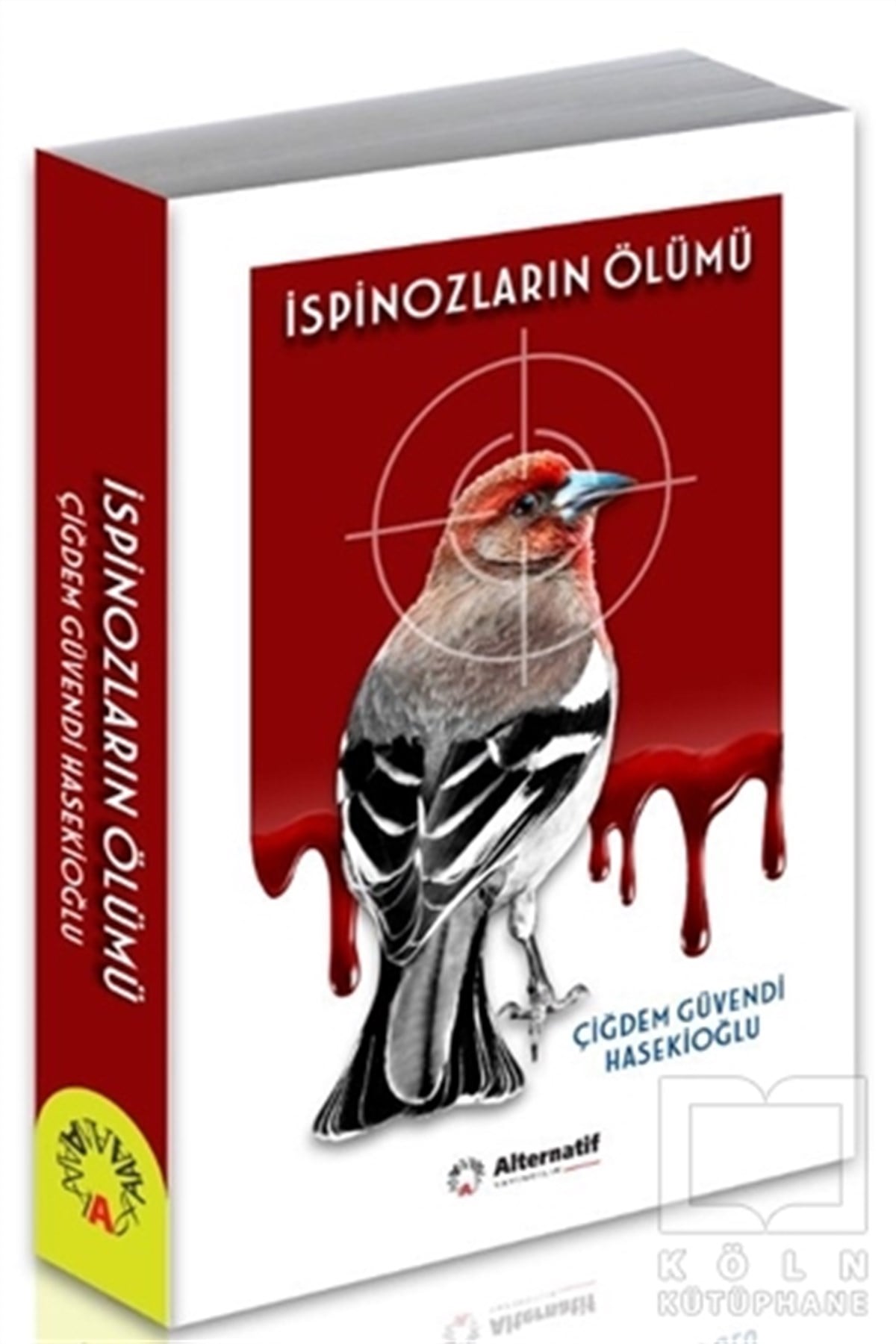Çiğdem Güvendi HasekioğluTürkçe Romanlarİspinozların Ölümü